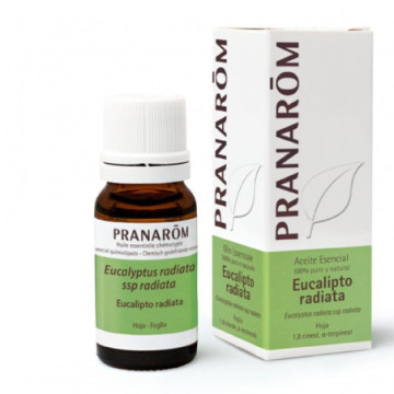 PRANAROM AE EUCALIPTO RADIATA  1 ENVASE 10 ML