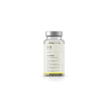 IVB GESTANATAL 60 CAPSULAS